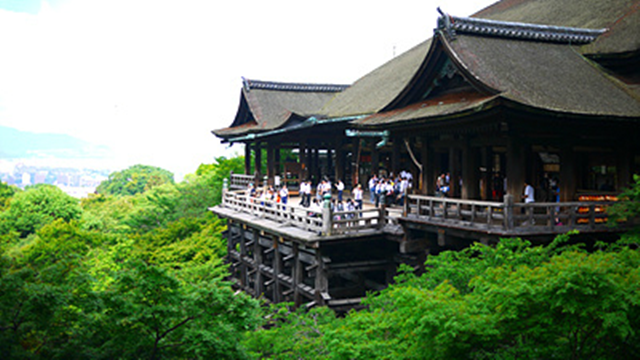 (주)여행톡