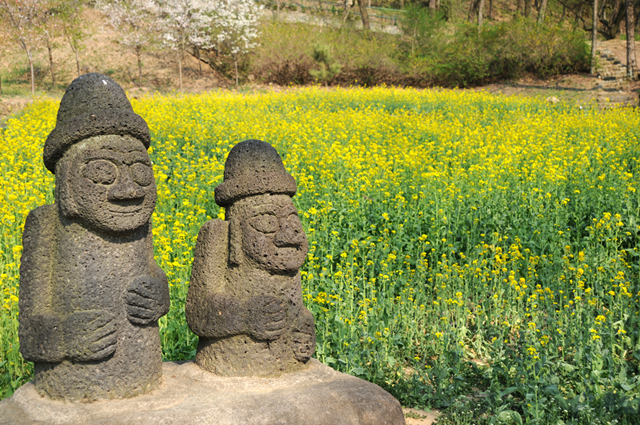 (주)여행톡